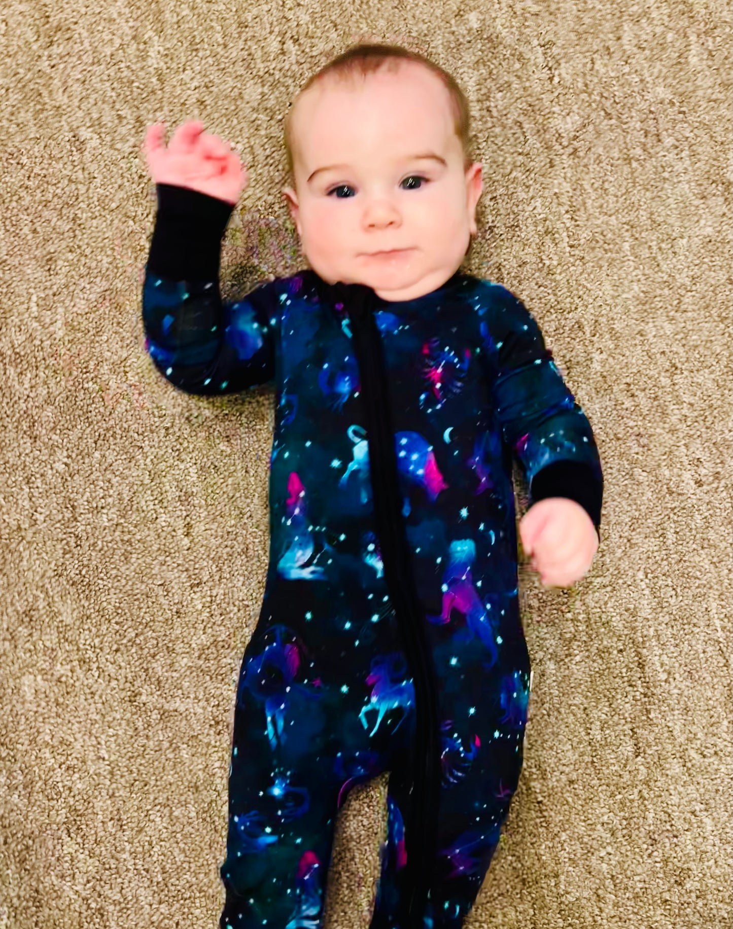 Zodiac Zippy